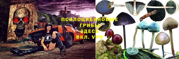 mix Бородино